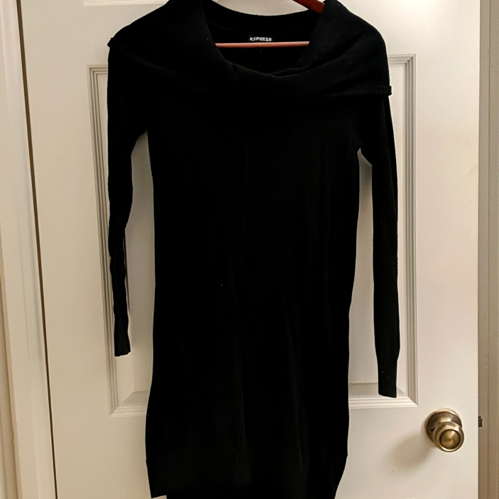 Express Sweater Dress